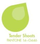 Tender Shoots